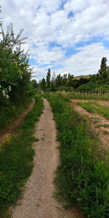 Apartamento Entrevinas En El Corazon De La Rioja Fuenmayor Екстер'єр фото